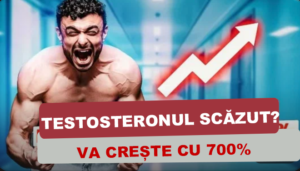 Read more about the article Testosteron scăzut: 7 metode naturale și eficiente de creștere a nivelului hormonal în 2024